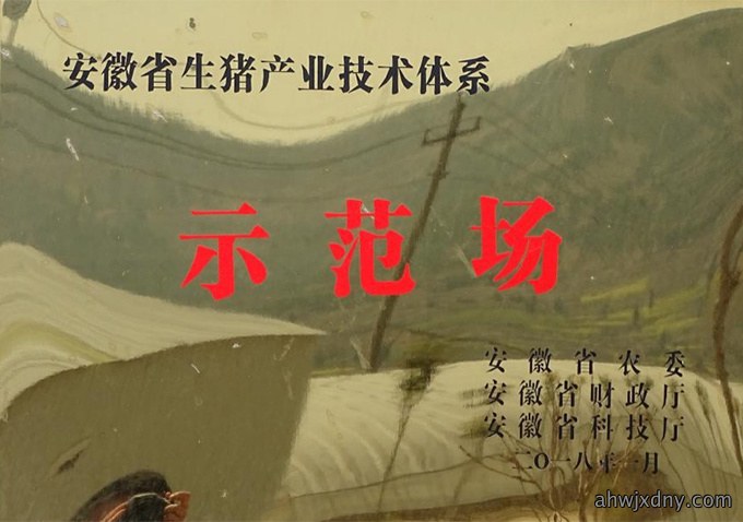 荣誉资质