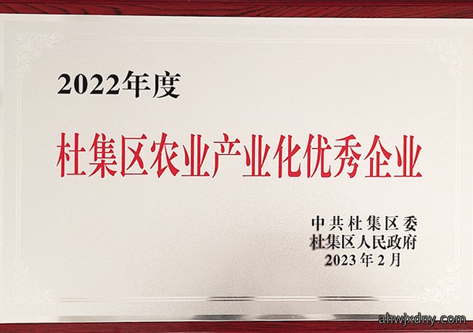 荣誉资质