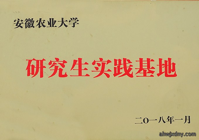荣誉资质