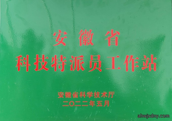 荣誉资质