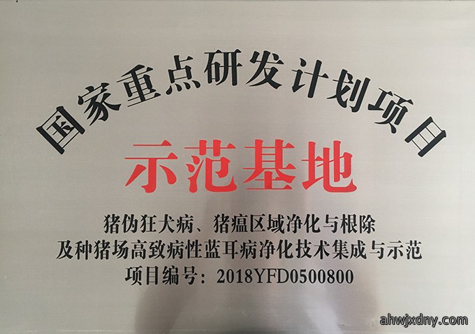 荣誉资质