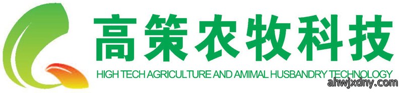 高策