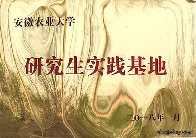 荣誉资质