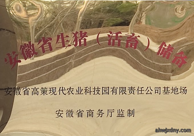 荣誉资质