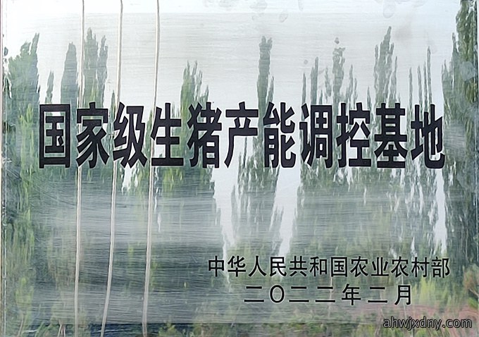 荣誉资质
