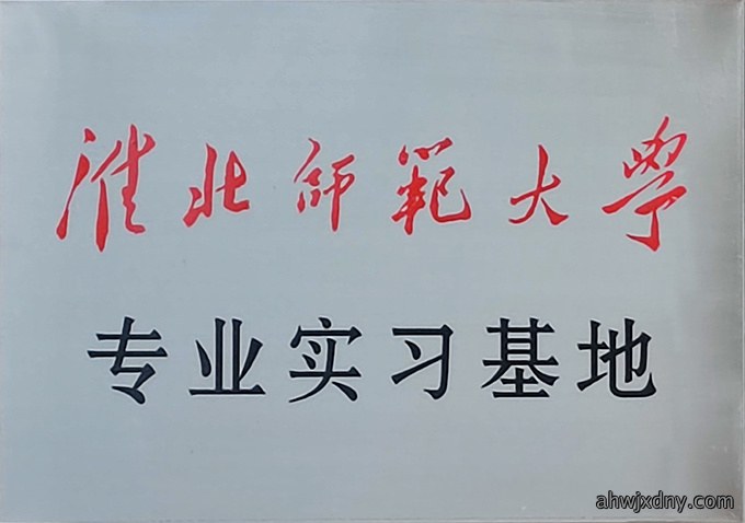 荣誉资质