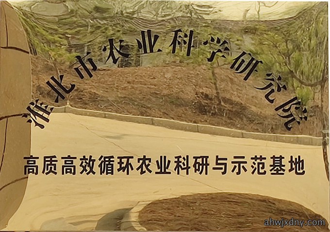 荣誉资质