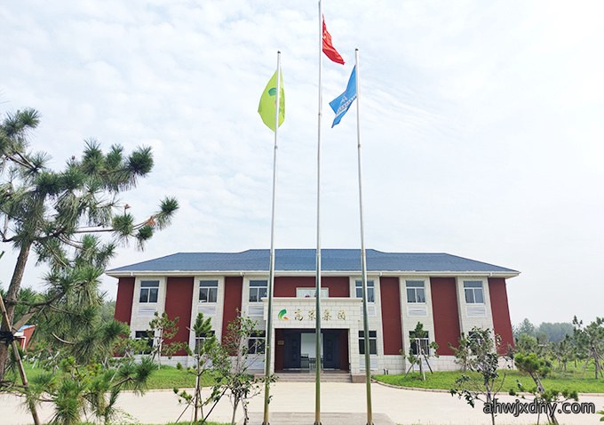 集团面貌